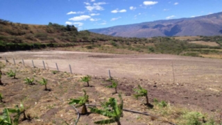 Terreno de Venta en Cuenca Ecuador sector Yunguilla - Santa Isabel