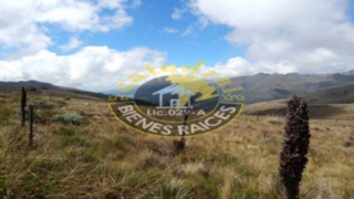 Terreno de Venta en Cuenca Ecuador sector Nazon - Tucñe