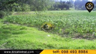 Terreno de Venta en Azogues Ecuador sector Chuquipata 