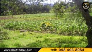 Terreno de Venta en Azogues Ecuador sector Chuquipata 