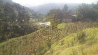 Hacienda de Venta en Cuenca Ecuador sector Carmen de Gualaceo