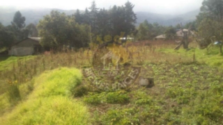 Hacienda de Venta en Cuenca Ecuador sector Carmen de Gualaceo