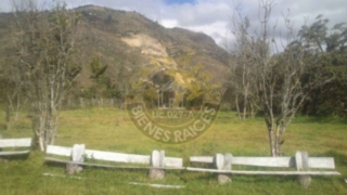 Hacienda de Venta en Cuenca Ecuador sector Carmen de Gualaceo