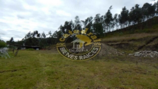 Terreno de Venta en Cuenca Ecuador sector Narancay