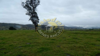 Terreno de Venta en Cuenca Ecuador sector Tarqui