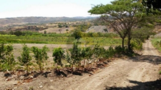 Terreno de Venta en Cuenca Ecuador sector Yunguilla