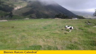 Terreno de Venta en Cuenca Ecuador sector El Chorro de Girón