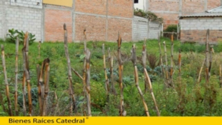 Sitio de Venta en Cuenca Ecuador sector Paseo 3 de Noviembre