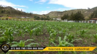 Terreno de Venta en Cuenca Ecuador sector La Unión del Sigsig