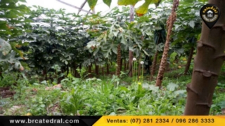 Hacienda de Venta en Cuenca Ecuador sector Paute - Bulán