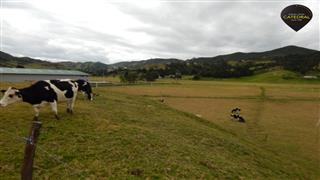 Terreno de Venta en Cuenca Ecuador sector  Tarqui