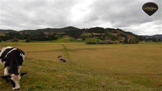 Terreno de Venta en Cuenca Ecuador sector  Tarqui