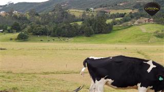 Terreno de Venta en Cuenca Ecuador sector  Tarqui