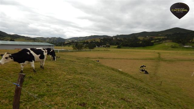 Sitio Solar Terreno de Venta en Cuenca Ecuador sector  Tarqui