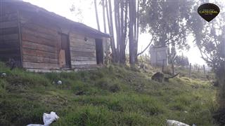 Sitio de Venta en Cuenca Ecuador sector Camino Viejo a Baños 