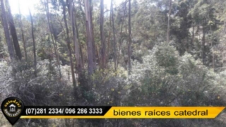 Sitio de Venta en Cuenca Ecuador sector Pumayunga - Sinincay - Cebollar