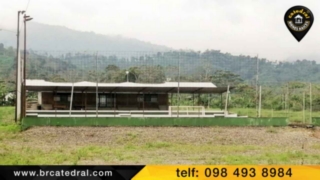 Hacienda de Venta en Guayaquil Ecuador sector La Troncal 