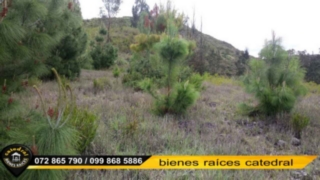 Sitio de Venta en Cuenca Ecuador sector Challuabamba - Apangora