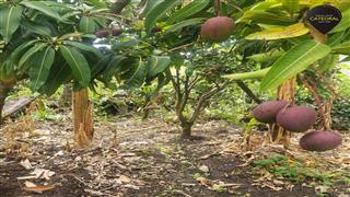 Terreno de Venta en Cuenca Ecuador sector Oña