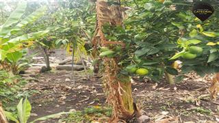Terreno de Venta en Cuenca Ecuador sector Oña
