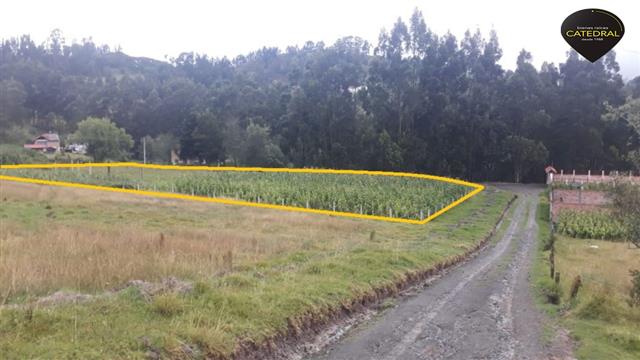 Sitio Solar Terreno de Venta en Cuenca Ecuador sector Guncay- El Valle 