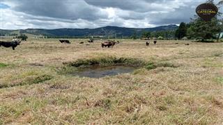 Terreno de Venta en Cuenca Ecuador sector Tarqui - Redondel de Cumbe