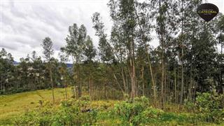 Terreno de Venta en Cuenca Ecuador sector Sigsipamba