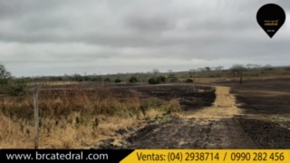 Terreno de Venta en Guayaquil Ecuador sector El Progreso - Vía a Playas