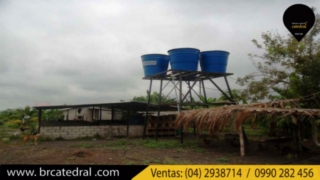 Terreno de Venta en Guayaquil Ecuador sector El Progreso - Vía a Playas