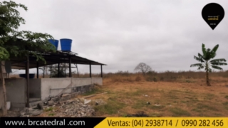 Terreno de Venta en Guayaquil Ecuador sector El Progreso - Vía a Playas