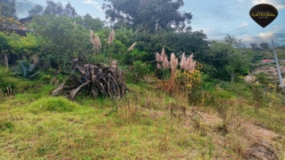 Terreno de Venta en Cuenca Ecuador sector Autopista - Paccha 