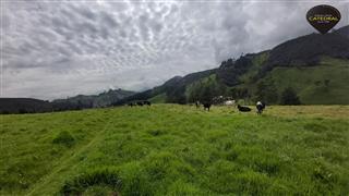 Terreno de Venta en Cuenca Ecuador sector Tarqui - Sector Manzano Pamba