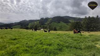 Terreno de Venta en Cuenca Ecuador sector Tarqui - Sector Manzano Pamba