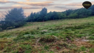 Terreno de Venta en Cuenca Ecuador sector Tutupalii