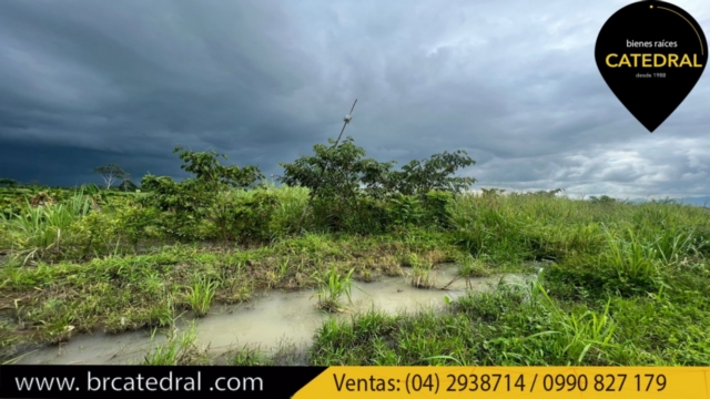 Sitio Solar Terreno de Venta en Cuenca Ecuador sector Puerto Inca - Naranjal