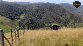 Terreno de Venta en Cuenca Ecuador sector Cumbe