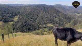 Terreno de Venta en Cuenca Ecuador sector Cumbe