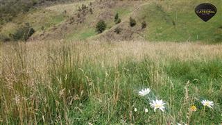 Terreno de Venta en Cuenca Ecuador sector Cumbe