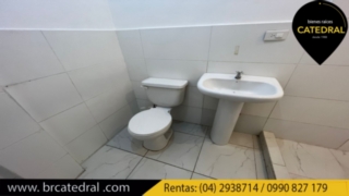 Departamento de Alquiler en Guayaquil Ecuador sector Urdesa Central