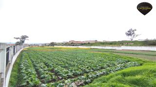 Terreno de Venta en Cuenca Ecuador sector San Joaquin 