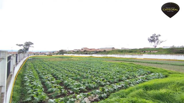 Sitio Solar Terreno de Venta en Cuenca Ecuador sector San Joaquin 