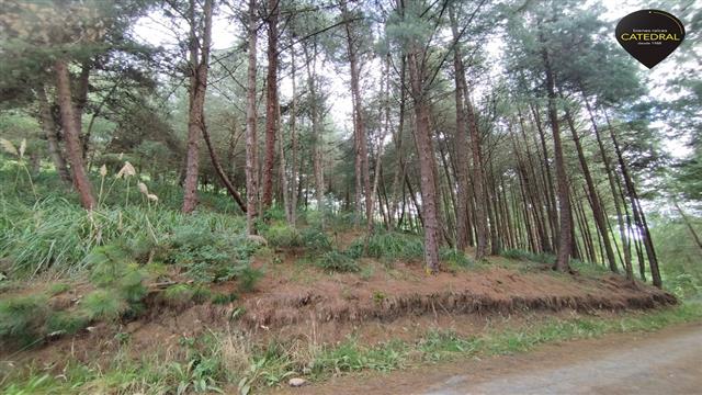 Sitio Solar Terreno de Venta en Cuenca Ecuador sector Tarqui 