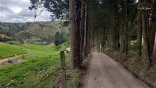 Terreno de Venta en Cuenca Ecuador sector Tarqui - Zhucay