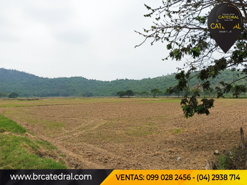 Hacienda de Venta en Guayaquil Ecuador sector Samborondon - La Delicia 