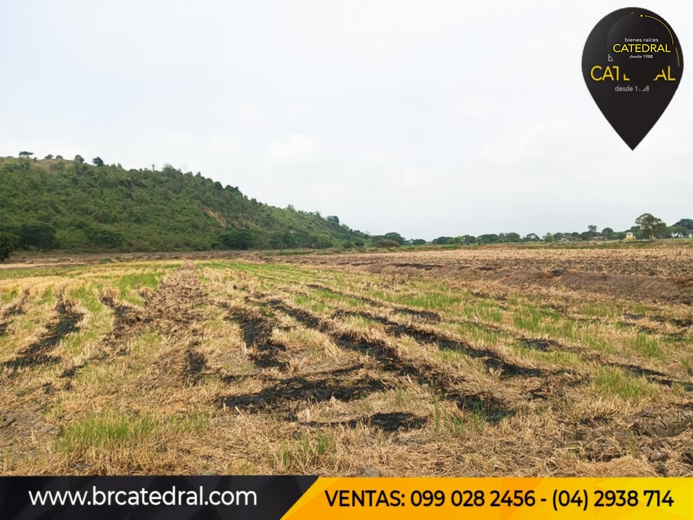 Hacienda de Venta en Guayaquil Ecuador sector Samborondon - La Delicia 