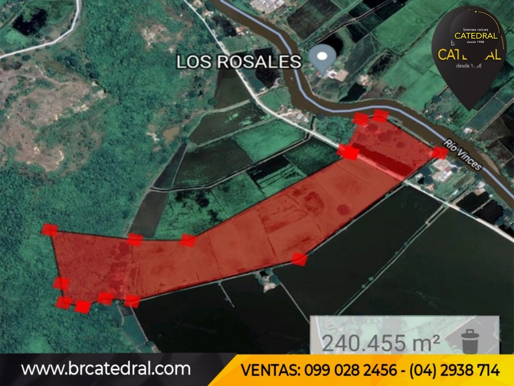 Hacienda de Venta en Guayaquil Ecuador sector Samborondon - La Delicia 