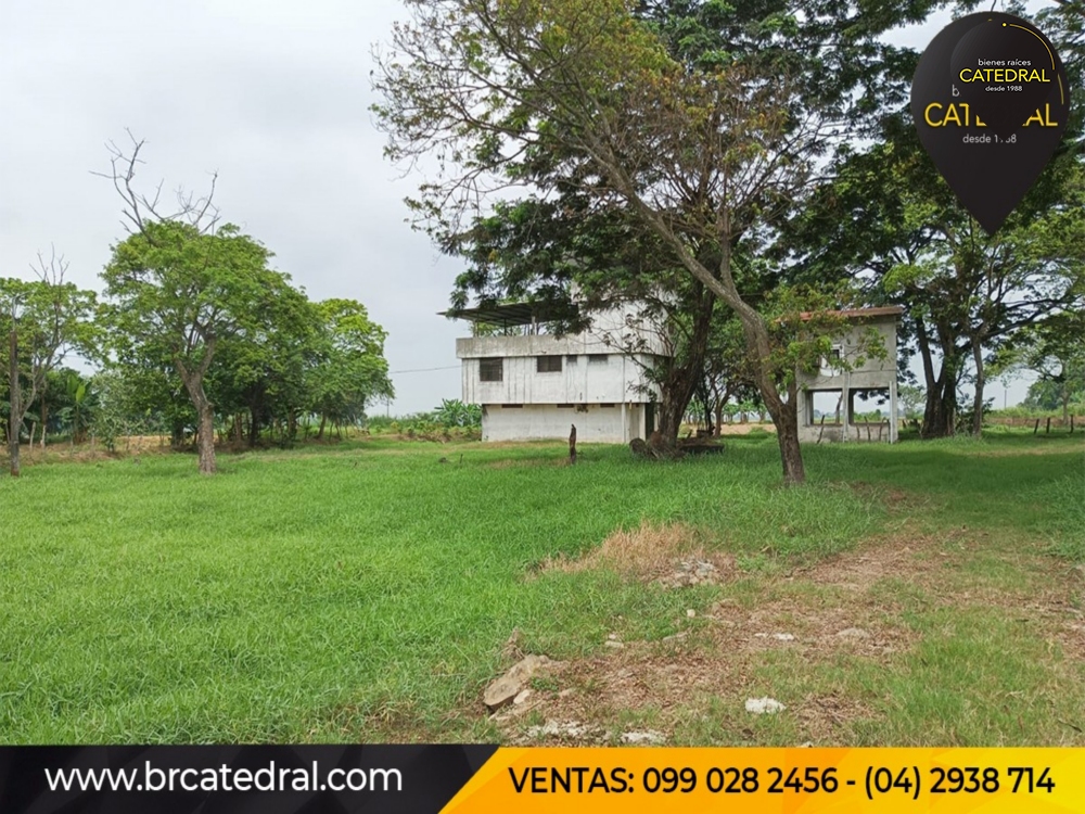 Hacienda de Venta en Guayaquil Ecuador sector Samborondon - La Delicia 