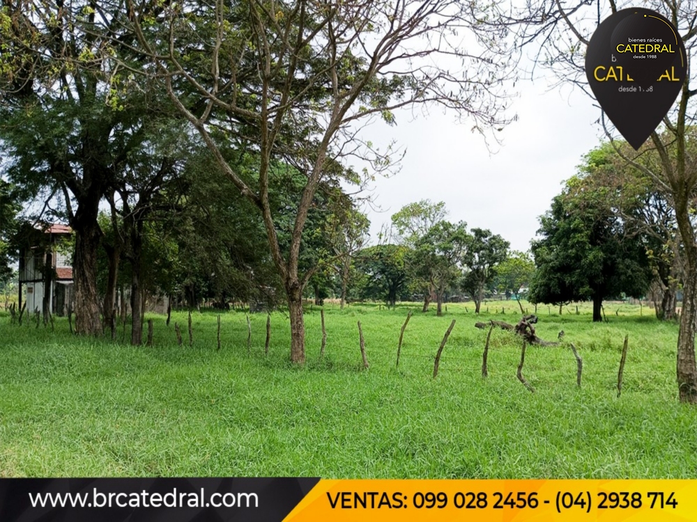 Hacienda de Venta en Guayaquil Ecuador sector Samborondon - La Delicia 