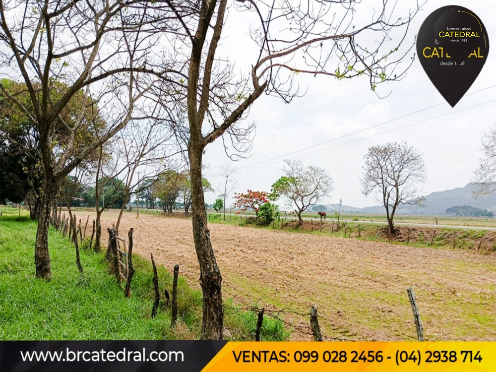 Hacienda de Venta en Guayaquil Ecuador sector Samborondon - La Delicia 