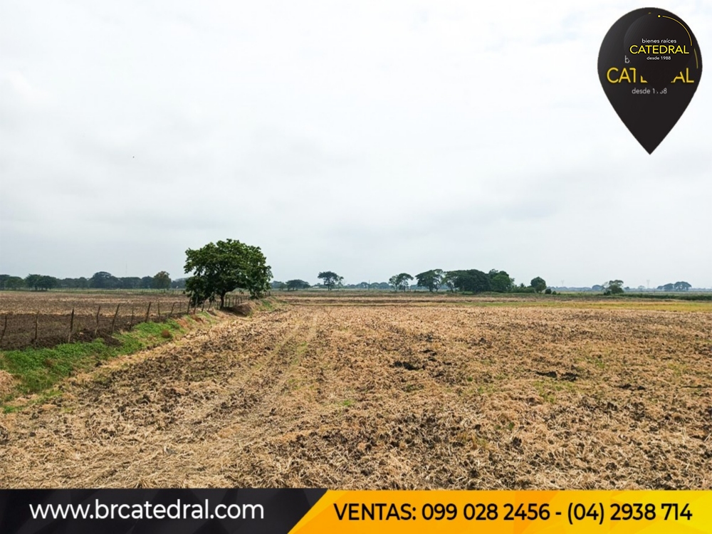 Hacienda de Venta en Guayaquil Ecuador sector Samborondon - La Delicia 